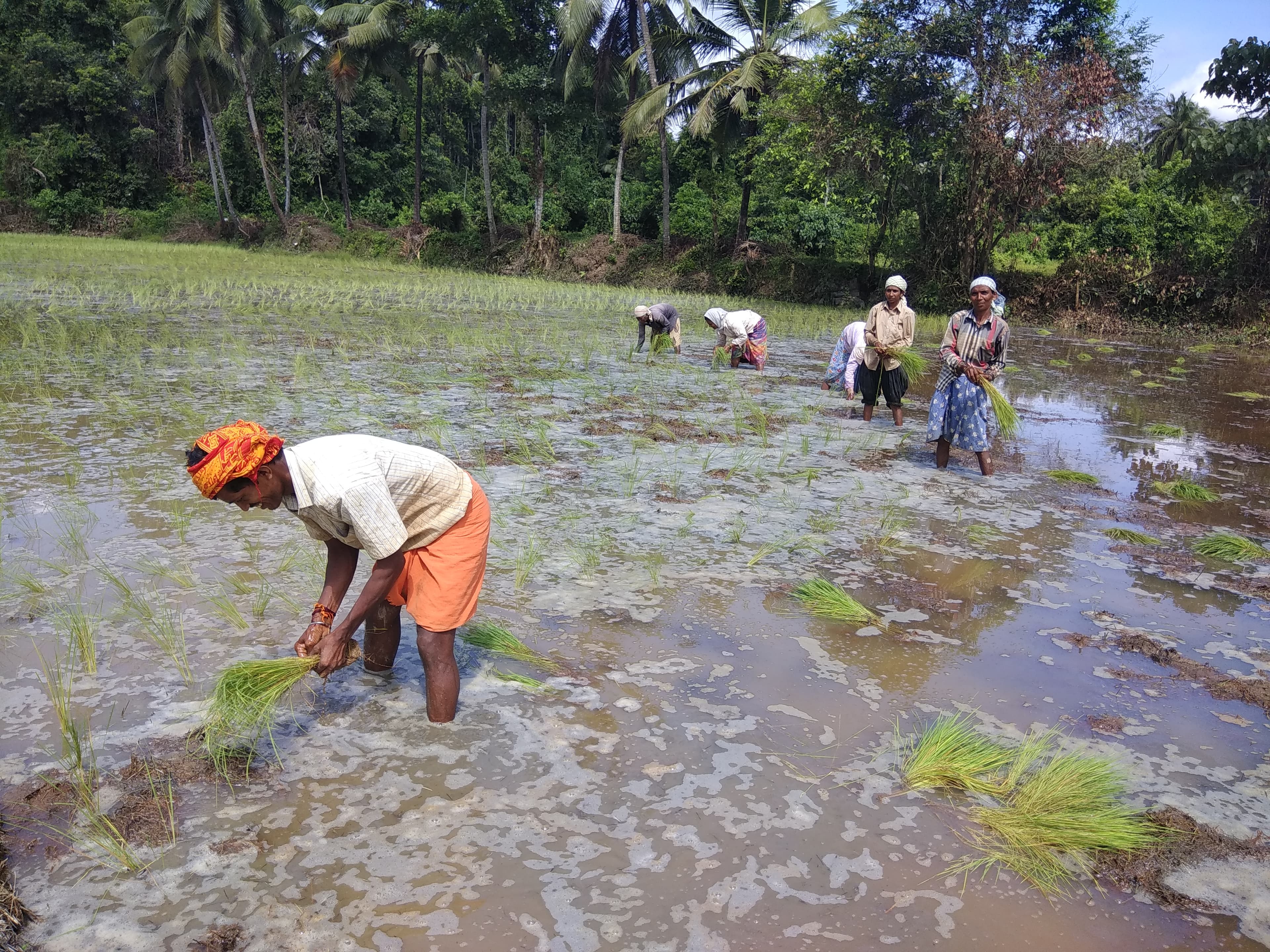 About Local Farmers